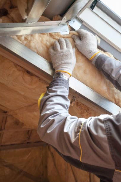 Types of Insulation We Offer in Pineland, TX